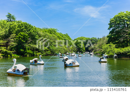 吉祥寺　休日の井の頭公園 115410761