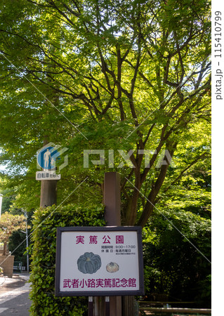 調布市　実篤公園 115410799