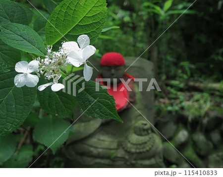 弘法大師と白い紫陽花【日野市高幡不動尊】 弘法大師と白い紫陽花【日野市高幡不動尊】 115410833