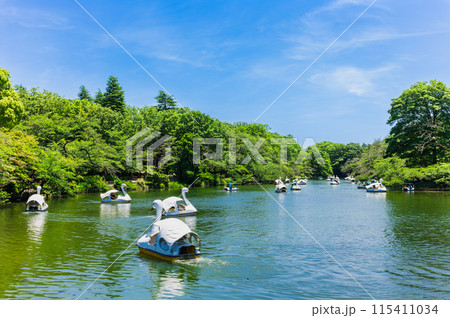 吉祥寺 休日の井の頭公園 吉祥寺 休日の井の頭公園 115411034