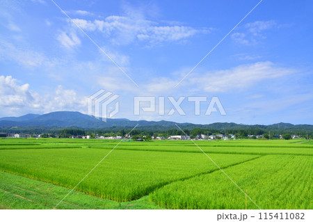 えちごトキめき鉄道妙高はねうまラインの上越妙高駅から直江津駅までの車窓風景(2022年夏) 115411082