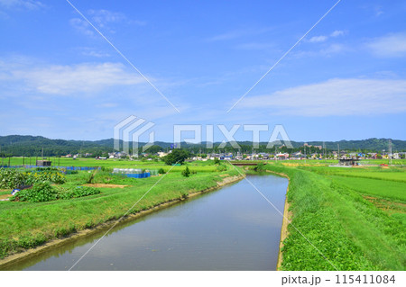 えちごトキめき鉄道妙高はねうまラインの上越妙高駅から直江津駅までの車窓風景(2022年夏) 115411084