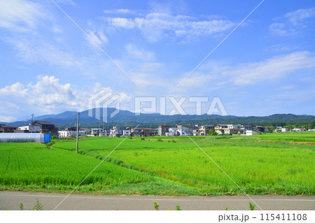 えちごトキめき鉄道妙高はねうまラインの上越妙高駅から直江津駅までの車窓風景(2022年夏) 115411108