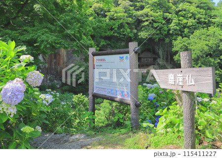 普光寺摩崖仏と紫陽花(豊後大野市) 普光寺摩崖仏と紫陽花(豊後大野市) 115411227