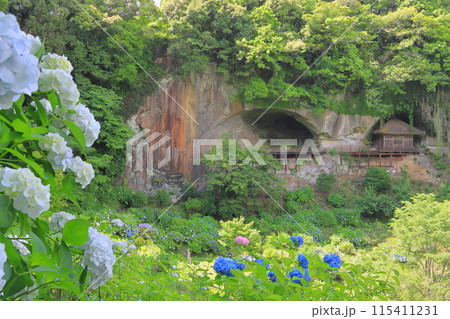 普光寺摩崖仏と紫陽花(豊後大野市) 普光寺摩崖仏と紫陽花(豊後大野市) 115411231