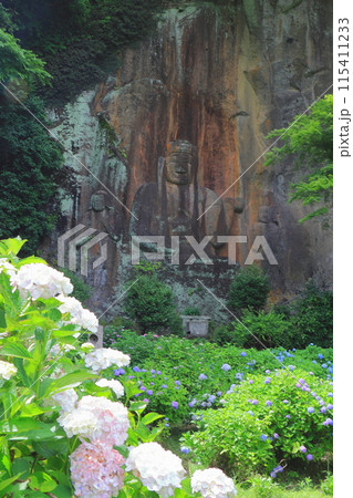 普光寺摩崖仏と紫陽花（豊後大野市・縦構図） 115411233