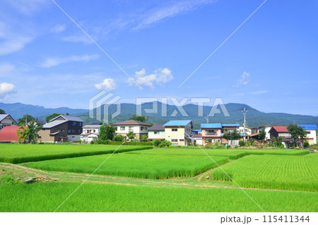 えちごトキめき鉄道妙高はねうまラインの妙高高原駅から上越妙高駅までの車窓風景(2022年夏) えちごトキめき鉄道妙高はねうまラインの妙高高原駅から上越妙高駅までの車窓風景(2022年夏) 115411344