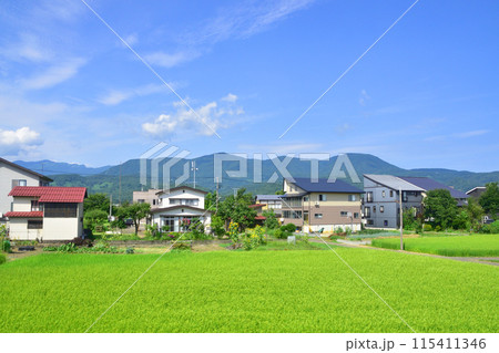 えちごトキめき鉄道妙高はねうまラインの妙高高原駅から上越妙高駅までの車窓風景(2022年夏) 115411346