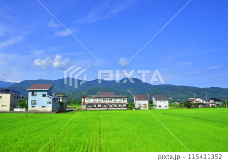 えちごトキめき鉄道妙高はねうまラインの妙高高原駅から上越妙高駅までの車窓風景(2022年夏) 115411352