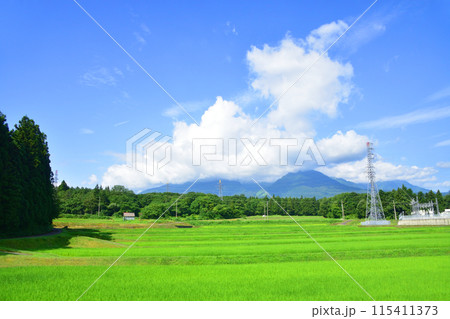 えちごトキめき鉄道妙高はねうまラインの妙高高原駅から上越妙高駅までの車窓風景(2022年夏) えちごトキめき鉄道妙高はねうまラインの妙高高原駅から上越妙高駅までの車窓風景(2022年夏) 115411373