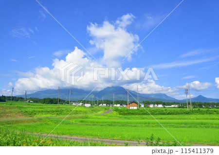 えちごトキめき鉄道妙高はねうまラインの妙高高原駅から上越妙高駅までの車窓風景(2022年夏) えちごトキめき鉄道妙高はねうまラインの妙高高原駅から上越妙高駅までの車窓風景(2022年夏) 115411379