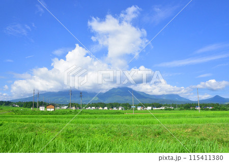 えちごトキめき鉄道妙高はねうまラインの妙高高原駅から上越妙高駅までの車窓風景(2022年夏) 115411380