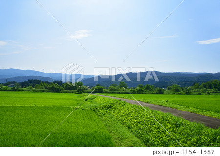 えちごトキめき鉄道妙高はねうまラインの妙高高原駅から上越妙高駅までの車窓風景(2022年夏) えちごトキめき鉄道妙高はねうまラインの妙高高原駅から上越妙高駅までの車窓風景(2022年夏) 115411387