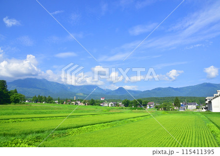 えちごトキめき鉄道妙高はねうまラインの妙高高原駅から上越妙高駅までの車窓風景(2022年夏) えちごトキめき鉄道妙高はねうまラインの妙高高原駅から上越妙高駅までの車窓風景(2022年夏) 115411395