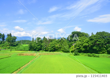 えちごトキめき鉄道妙高はねうまラインの妙高高原駅から上越妙高駅までの車窓風景(2022年夏) 115411403