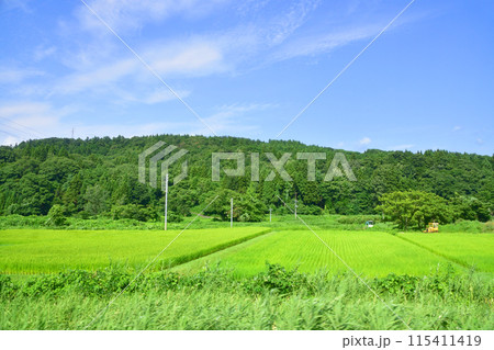 えちごトキめき鉄道妙高はねうまラインの妙高高原駅から上越妙高駅までの車窓風景(2022年夏) 115411419