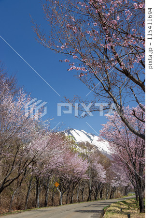 青森県 岩木山ネックレスロード03 115411694