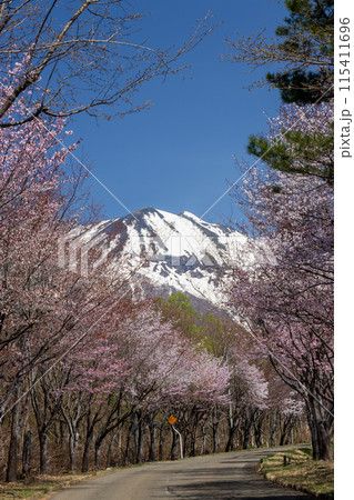 青森県 岩木山ネックレスロード05 115411696