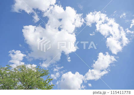 初夏の雲と木立 初夏の雲と木立 115411778