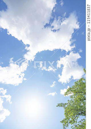 初夏の雲と木立 初夏の雲と木立 115411837