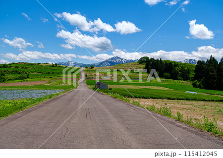 高原の一本道 115412045