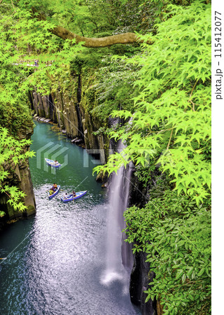 新緑の真名井の滝(縦) 新緑の真名井の滝(縦) 115412077