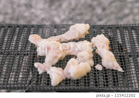 【オートキャンプ場でソロキャンプ 網で白モツを焼く】 【オートキャンプ場でソロキャンプ 網で白モツを焼く】 115412202