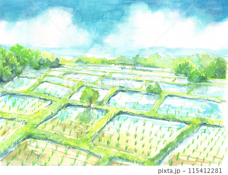 水彩で描いた田舎の田んぼの風景 115412281
