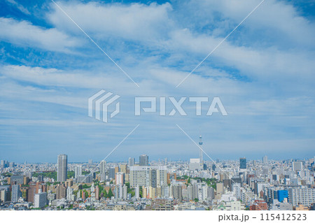 スカイツリーのある風景 スカイツリーのある風景 115412523