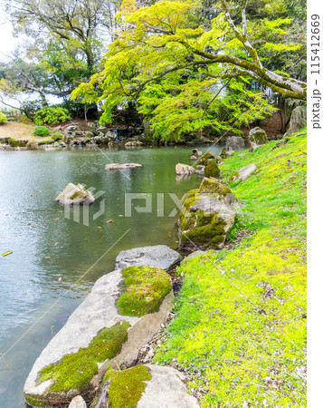 春の岡山 後楽園の趣深い景色 新緑の花葉の池 春の岡山 後楽園の趣深い景色 新緑の花葉の池 115412669
