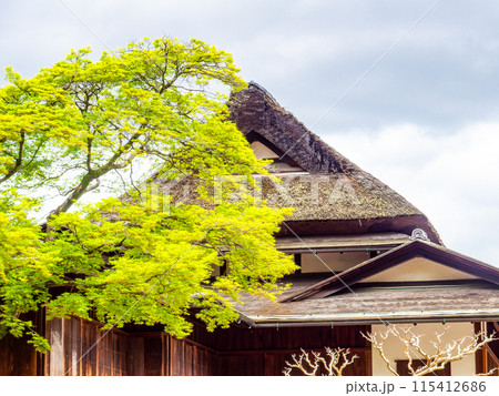 春の岡山 後楽園の趣深い景色 新緑と延養亭 春の岡山 後楽園の趣深い景色 新緑と延養亭 115412686