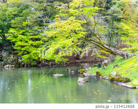 春の岡山 後楽園の趣深い景色 静かな花葉の池 春の岡山 後楽園の趣深い景色 静かな花葉の池 115412688