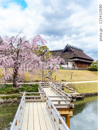 春の岡山　後楽園の趣深い景色　桜咲く栄唱橋と延養亭 115412690