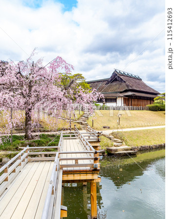 春の岡山　後楽園の趣深い景色　桜咲く栄唱橋と延養亭 115412693