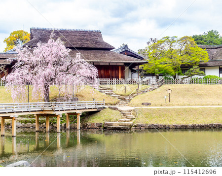 春の岡山　後楽園の趣深い景色　桜咲く栄唱橋と延養亭 115412696