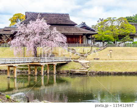 春の岡山 後楽園の趣深い景色 桜咲く栄唱橋と延養亭 春の岡山 後楽園の趣深い景色 桜咲く栄唱橋と延養亭 115412697
