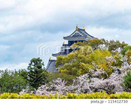 春の岡山 後楽園の趣深い景色 満開の桜とラスボス感漂う岡山城 春の岡山 後楽園の趣深い景色 満開の桜とラスボス感漂う岡山城 115412730