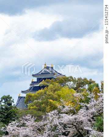 春の岡山 後楽園の趣深い景色 満開の桜とラスボス感漂う岡山城 春の岡山 後楽園の趣深い景色 満開の桜とラスボス感漂う岡山城 115412734