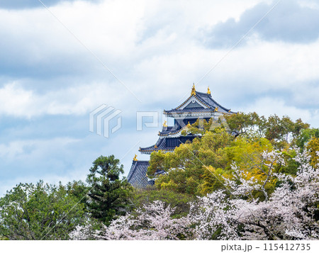 春の岡山　後楽園の趣深い景色　満開の桜とラスボス感漂う岡山城 115412735