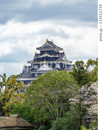 春の岡山 後楽園の趣深い景色 満開の桜とラスボス感漂う岡山城 春の岡山 後楽園の趣深い景色 満開の桜とラスボス感漂う岡山城 115412739