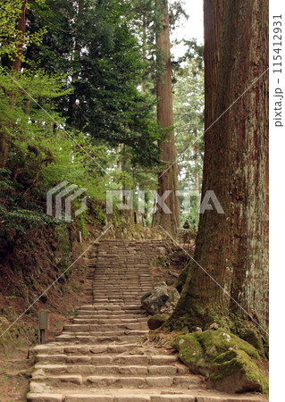 室生寺の奥の院への階段 室生寺の奥の院への階段 115412931