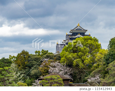 春の岡山 後楽園の趣深い景色 満開の桜とラスボス感漂う岡山城 春の岡山 後楽園の趣深い景色 満開の桜とラスボス感漂う岡山城 115412943