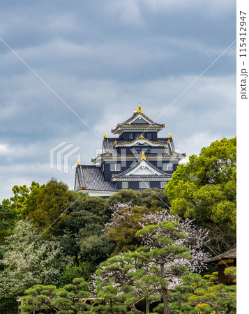 春の岡山 後楽園の趣深い景色 満開の桜とラスボス感漂う岡山城 春の岡山 後楽園の趣深い景色 満開の桜とラスボス感漂う岡山城 115412947
