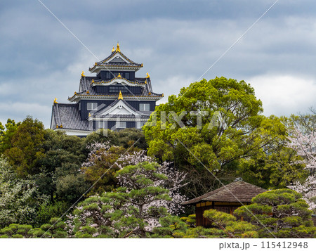 春の岡山 後楽園の趣深い景色 満開の桜とラスボス感漂う岡山城 春の岡山 後楽園の趣深い景色 満開の桜とラスボス感漂う岡山城 115412948