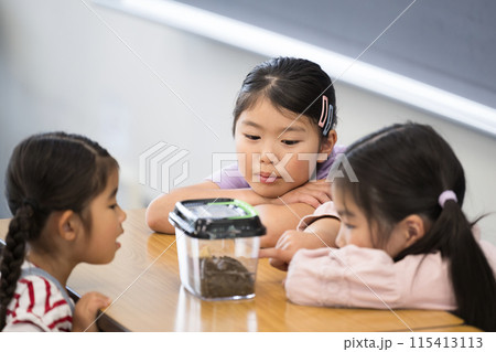 カブト虫や虫を教室で飼う小学生　理科の観察や夏の自由研究 115413113