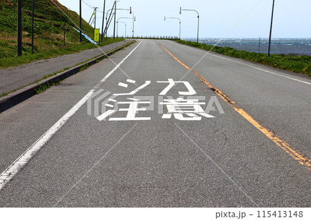 野生動物（シカ）の飛び出しを注意する道路 115413148