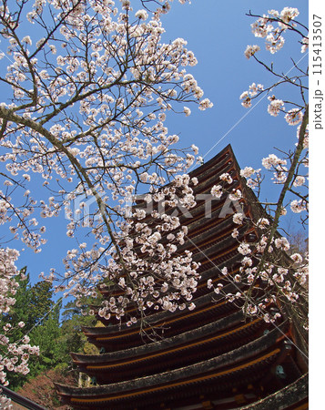 談山神社 桜と十三重塔 談山神社 桜と十三重塔 115413507