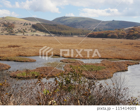 秋の七島八島　長野県諏訪郡下諏訪町東俣 115414005