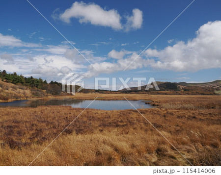 秋の七島八島　長野県諏訪郡下諏訪町東俣 115414006
