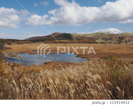 秋の七島八島　長野県諏訪郡下諏訪町東俣 115414012